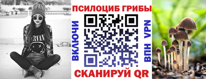 Галлюциногенные грибы Cubensis  дарк нет наркотические препараты  Сегежа 