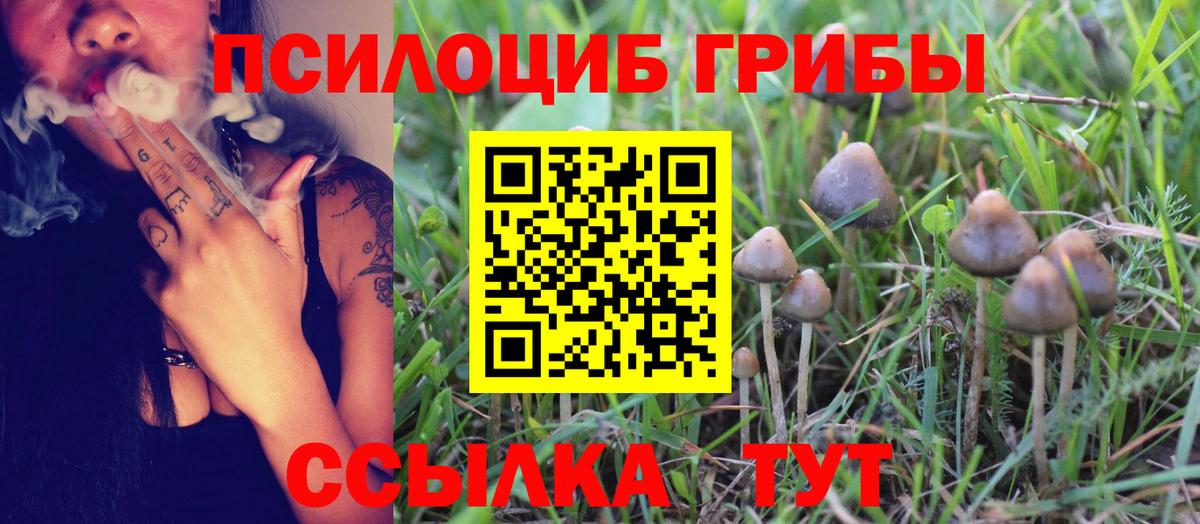 Галлюциногенные грибы мицелий  Вход с VPN  Галлюциногенные грибы Cubensis  Сегежа 